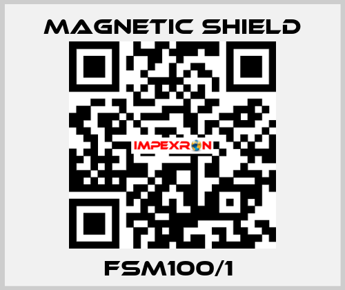 FSM100/1  Magnetic Shield