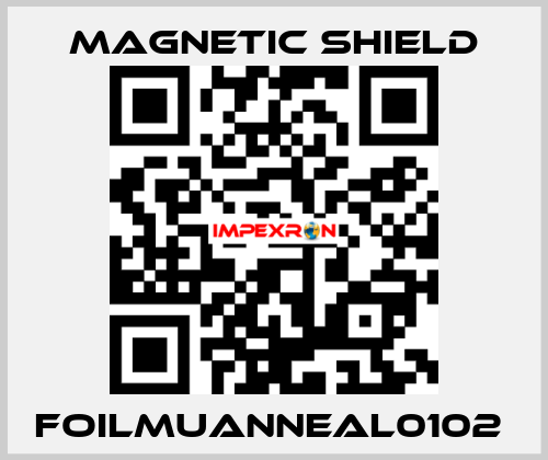 FOILMUANNEAL0102  Magnetic Shield