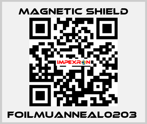 FOILMUANNEAL0203  Magnetic Shield