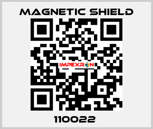 110022  Magnetic Shield