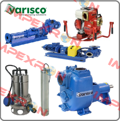 10014963 Varisco pumps