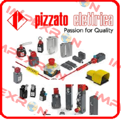 1000068678-FP-993-M2 Pizzato Elettrica