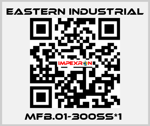 MFB.01-300SS*1  Eastern Industrial