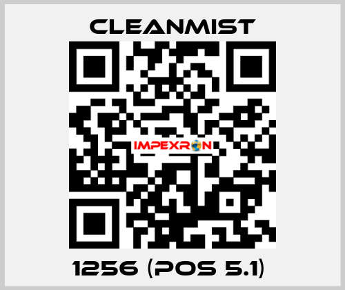 1256 (pos 5.1)  CleanMist