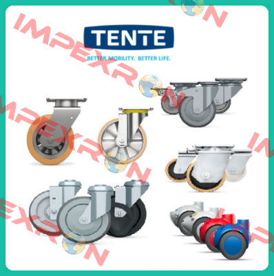 9950FTP150P65 (Teilenummer: 00803669-GS) Tente