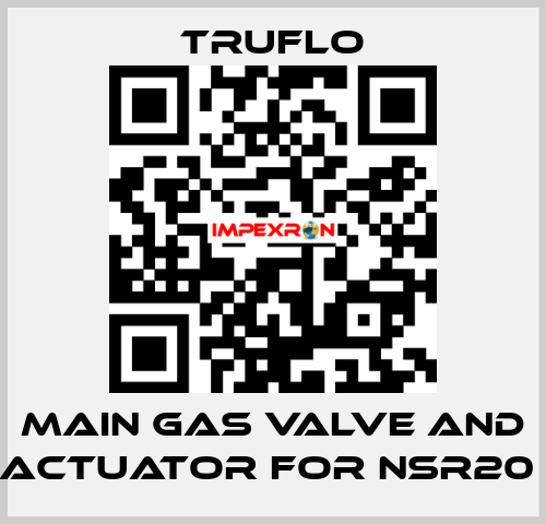 Main Gas Valve and Actuator For NSR20  TRUFLO