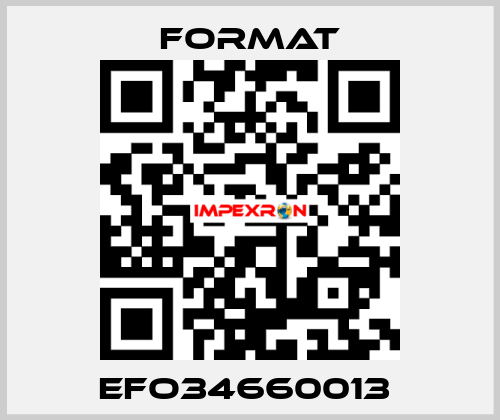 EFO34660013  Format