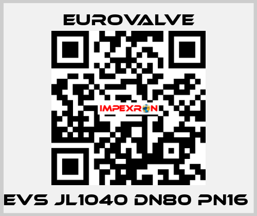 EVS JL1040 DN80 PN16  Eurovalve