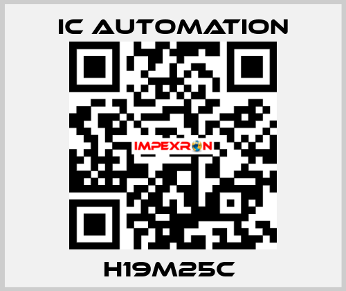 H19M25C  ic automation