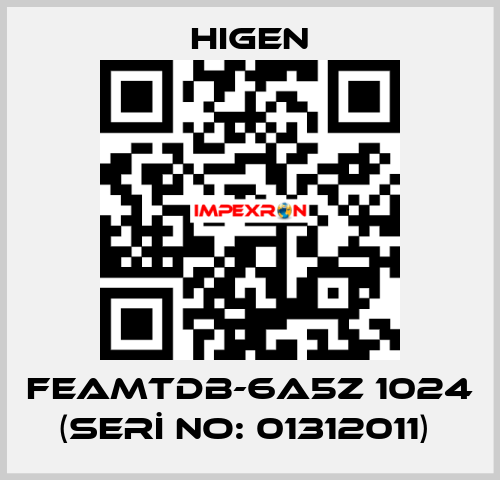 FEAMTDB-6A5Z 1024 (SERİ NO: 01312011)  Higen