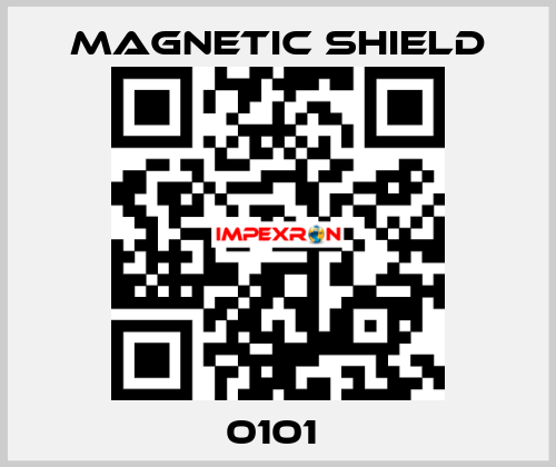 0101  Magnetic Shield