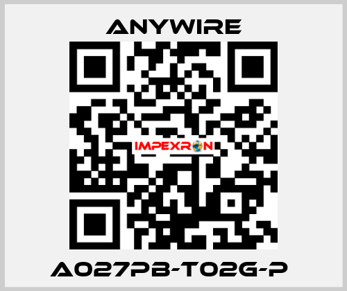 A027PB-T02G-P  Anywire