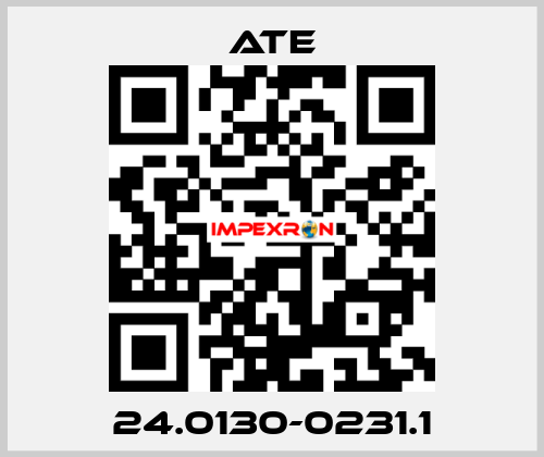 24.0130-0231.1 Ate