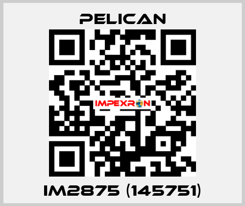 iM2875 (145751) Pelican