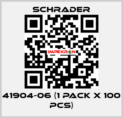 41904-06 (1 pack x 100 pcs) Schrader