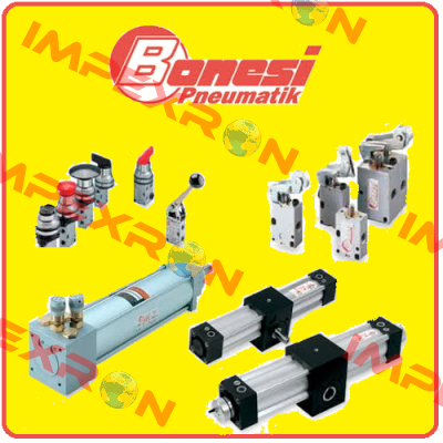 E13A 2/E Bonesi Pneumatic