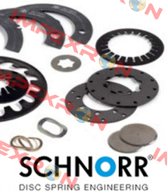 509 100 A (pack x200) Schnorr