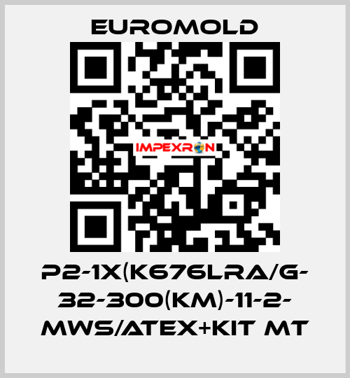 P2-1x(K676LRA/G- 32-300(KM)-11-2- MWS/ATEX+KIT MT EUROMOLD