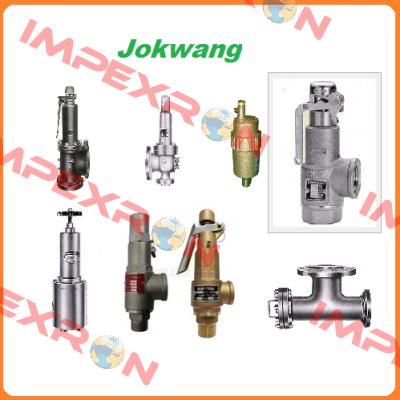 Lock Nut - Sus for  JSV-PS101 Jokwang