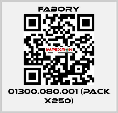 01300.080.001 (pack x250) Fabory