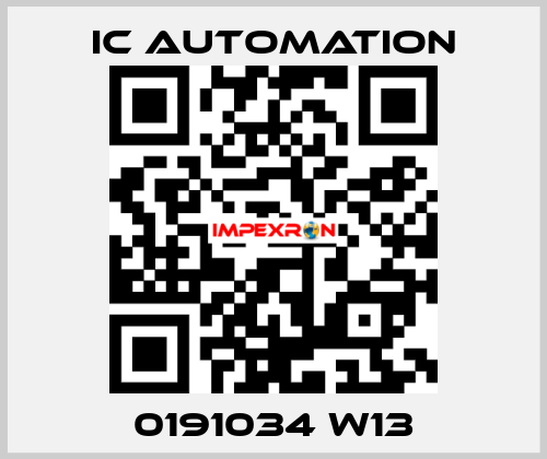 0191034 W13 ic automation