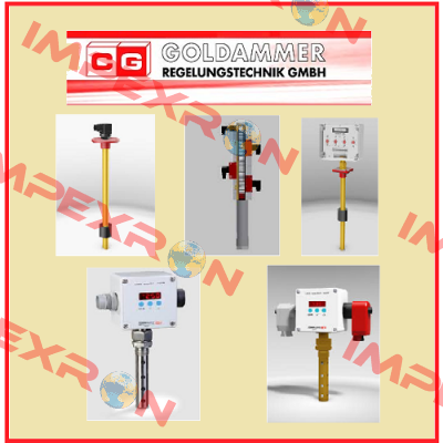 WM 12-1-G1/2"-L100-24V DC-4-20mA-I-FE- VA Goldammer