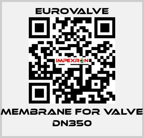 membrane for valve DN350 Eurovalve