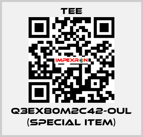 Q3EX80M2C42-OUL (special item) TEE