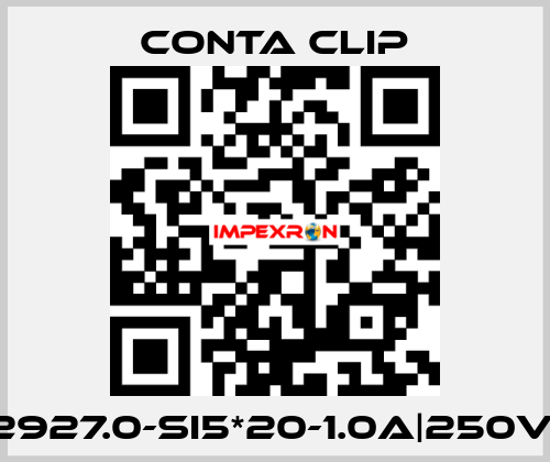 2927.0-SI5*20-1.0A|250V| Conta Clip