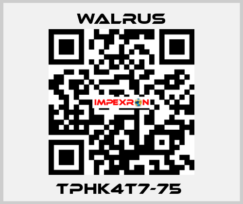 TPHK4T7-75  Walrus