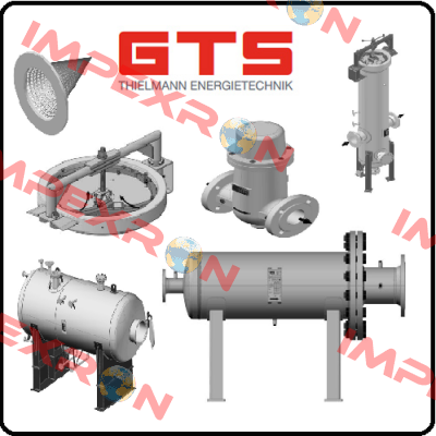 55-10016-1310 GTS-Thielmann Energietechnik