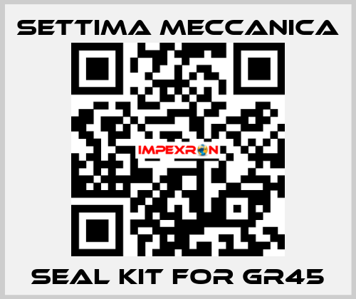 Seal kit for GR45 Settima Meccanica