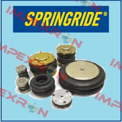 106736 Springride