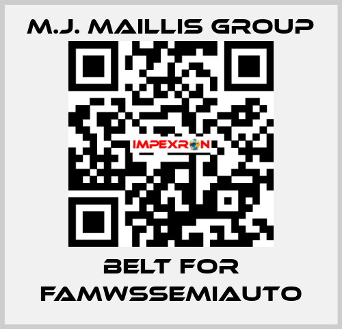 belt for FAMWSSEMIAUTO M.J. MAILLIS GROUP