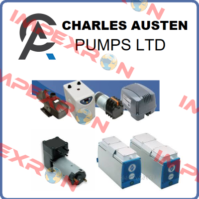 X62-101 Charles Austen Pumps