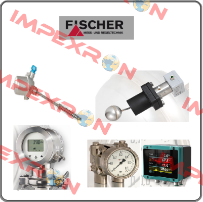 DS21010W25AKPW00 Fischer Mess Regeltechnik