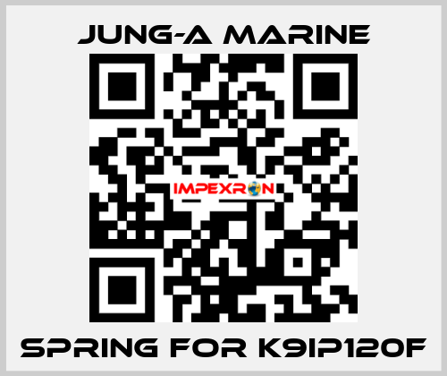 spring for K9IP120F JUNG-A MARINE