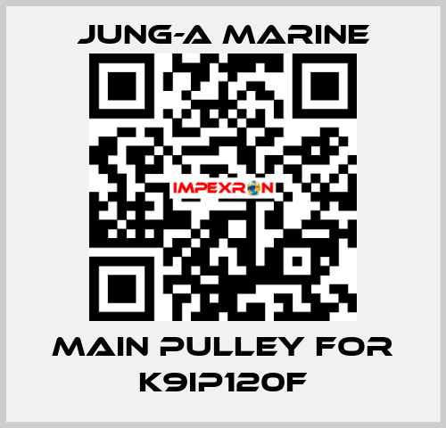 main pulley for K9IP120F JUNG-A MARINE