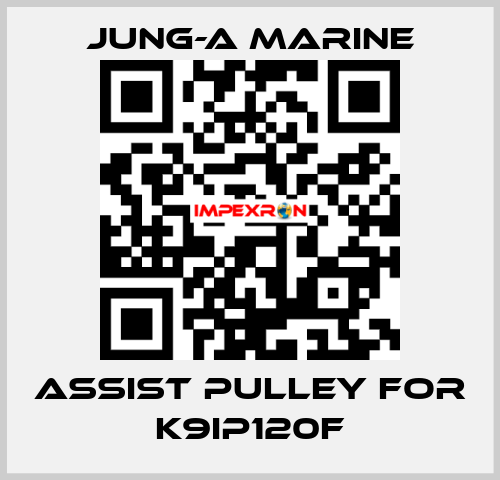 assist pulley for K9IP120F JUNG-A MARINE