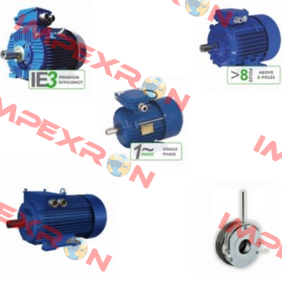 2SIE 200 L-4 old code, new code 3SIE200L-4 Cantoni