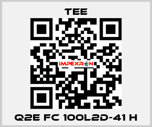 Q2E FC 100L2D-41 H TEE