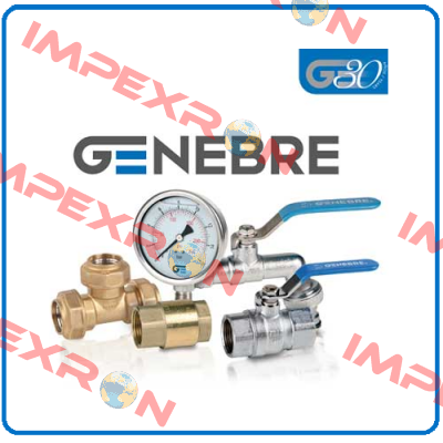 Seal for compact ball valve DN100 Genebre