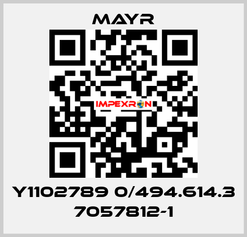 Y1102789 0/494.614.3 7057812-1 Mayr