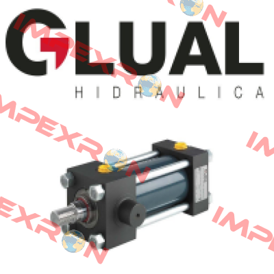 KR 200/140x300-P001-G-1-F-1-10 Glual Hydraulics