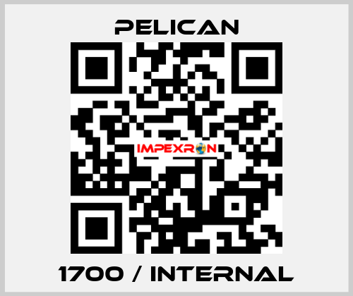 1700 / Internal Pelican