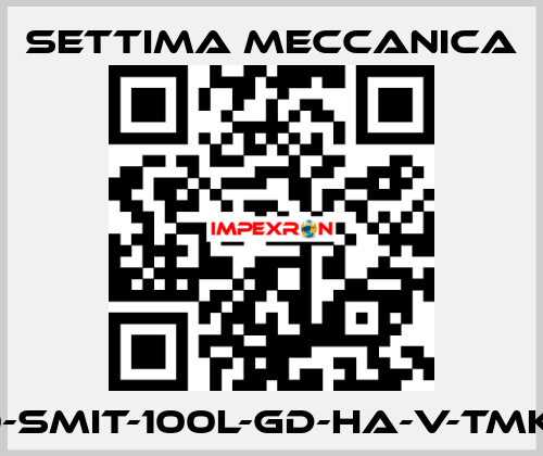 GR40-SMIT-100L-GD-HA-V-TMK-CSM Settima Meccanica