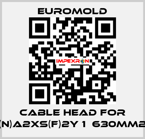 Cable head for (N)A2XS(F)2Y 1х630mm2 EUROMOLD