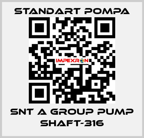 SNT A GROUP PUMP SHAFT-316 STANDART POMPA