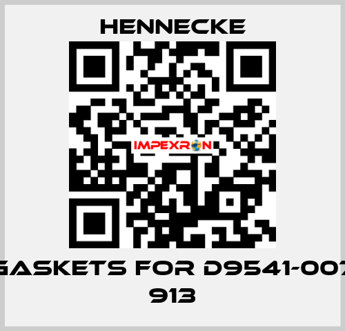 gaskets for D9541-007 913 Hennecke