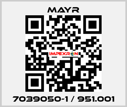 7039050-1 / 951.001 Mayr